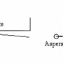 asp-16.png