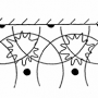 asp-15.png